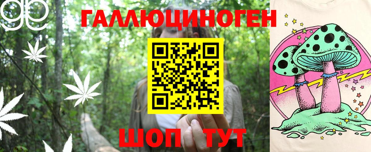 Галлюциногенные грибы Psilocybine cubensis Борисоглебск
