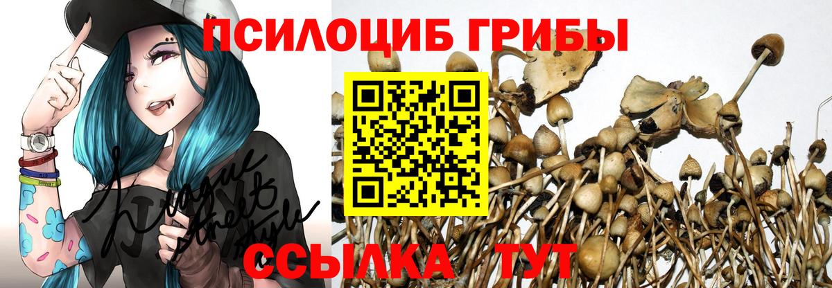 Галлюциногенные грибы Cubensis  Галлюциногенные грибы Magic Shrooms  Вход с VPN  Борисоглебск 